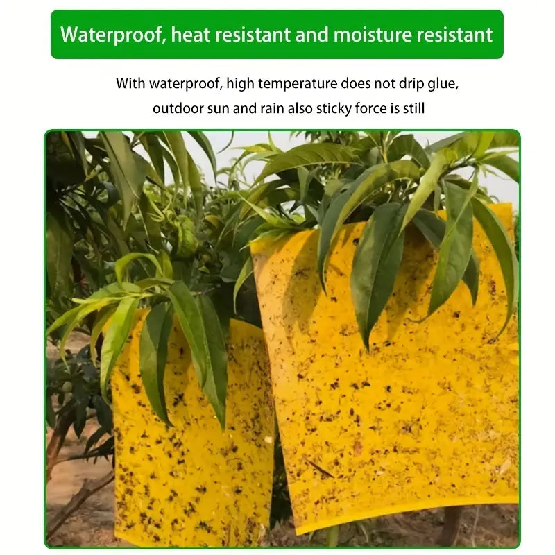 Yellow Double Sided Sticky Traps