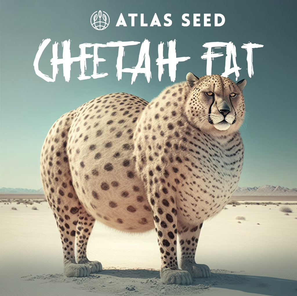 Cheetah Fat