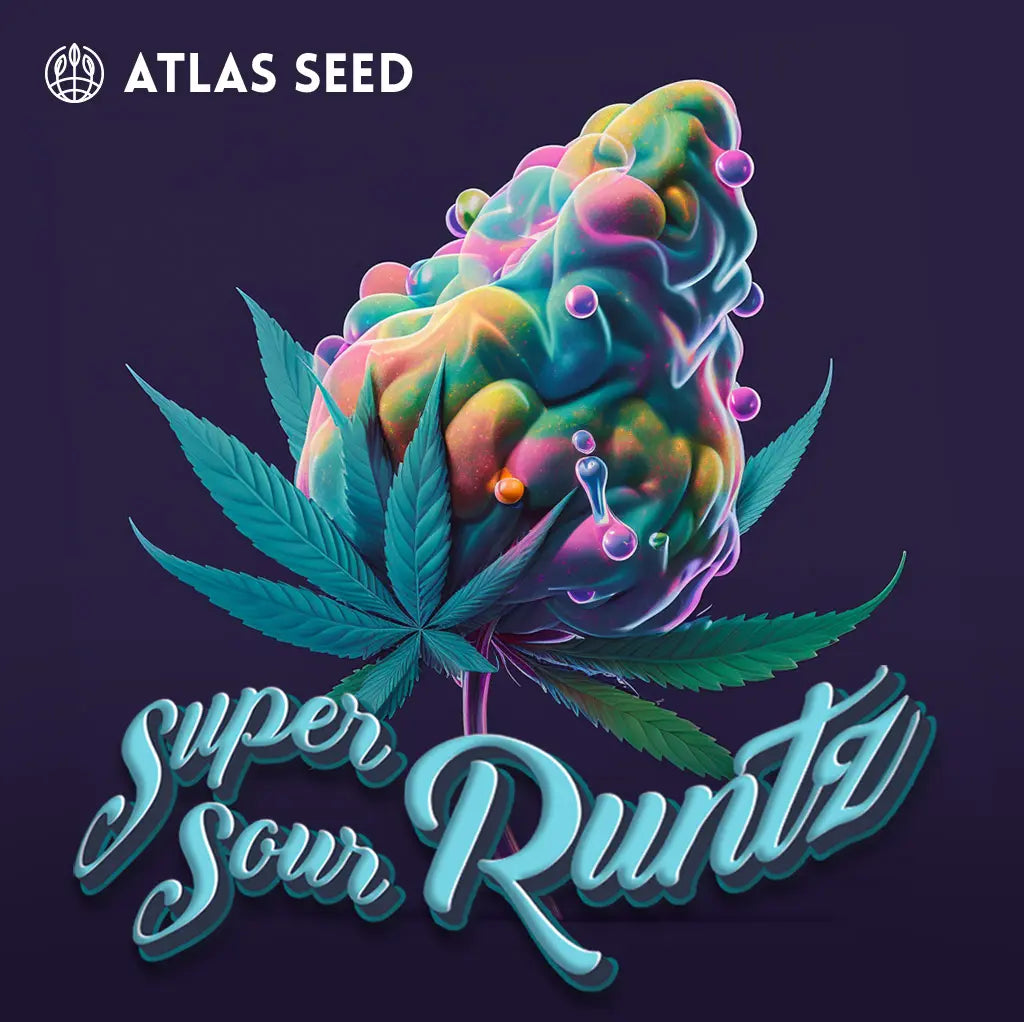 Super Sour Runtz