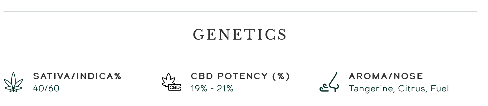 Tangerine CBD