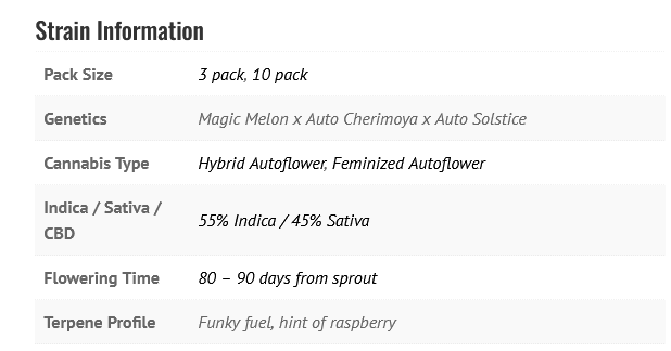 Magic Melon Auto
