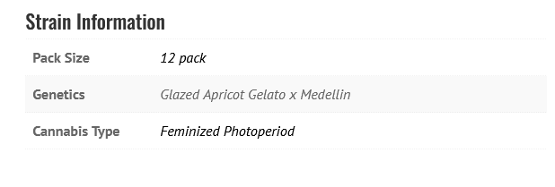 Glazed Apricot Gelato x Medellin (F)