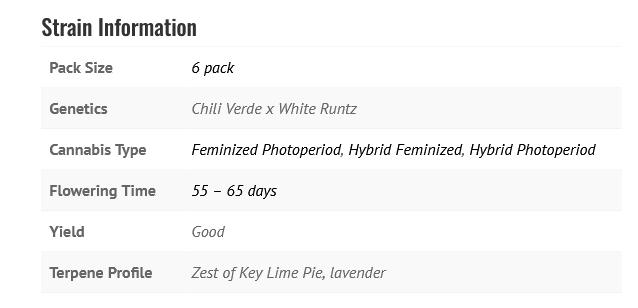 SPICY RUNTZ (F)