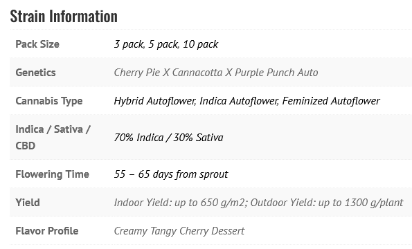 CHERRY CHEESCAKE AUTO