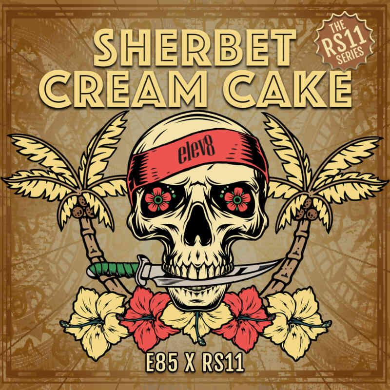 SHERBERT CREAM CAKE (F)