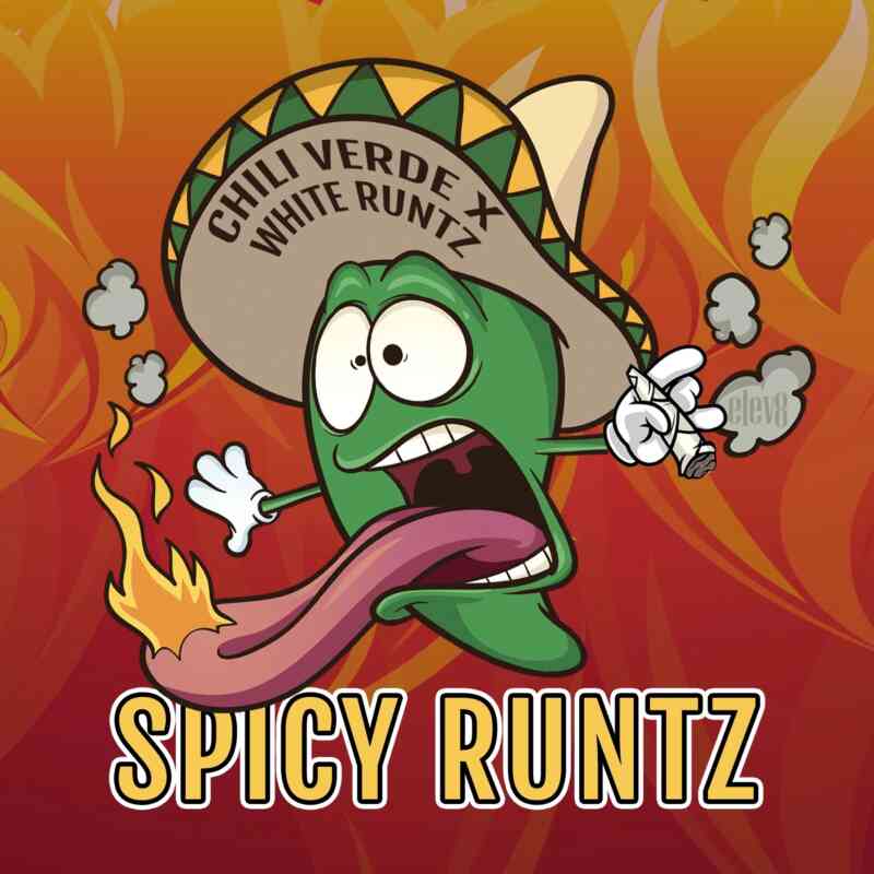SPICY RUNTZ (F)