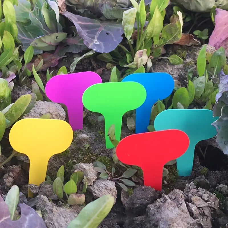 Plant Labels 100pc